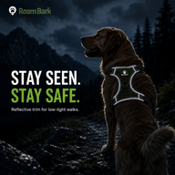 STAY SEEN. STAY SAFE. — reflective stitching shown in low light.