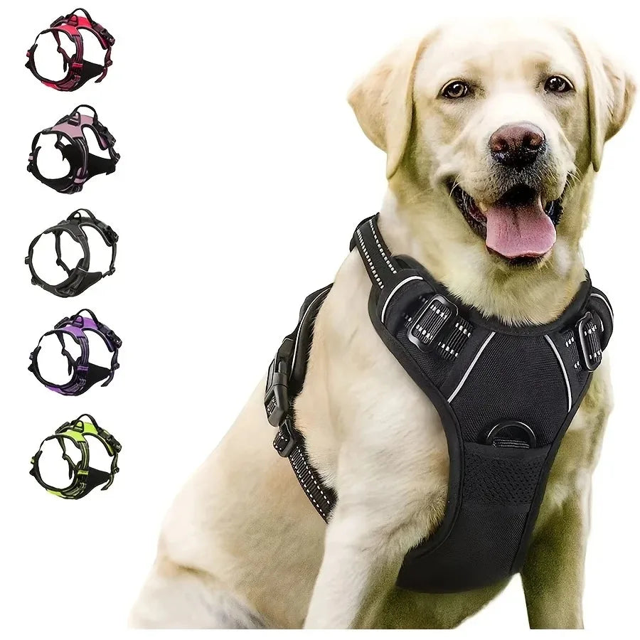 Premium Leather Dog Harness & Leash Set | Roam Bark