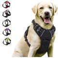 Premium Leather Dog Harness & Leash Set | Roam Bark