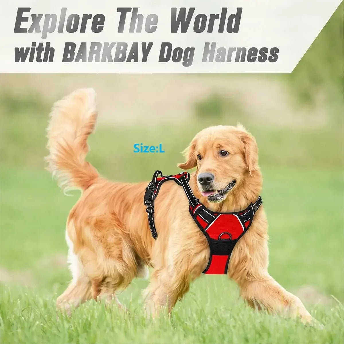 Premium Leather Dog Harness & Leash Set | Roam Bark