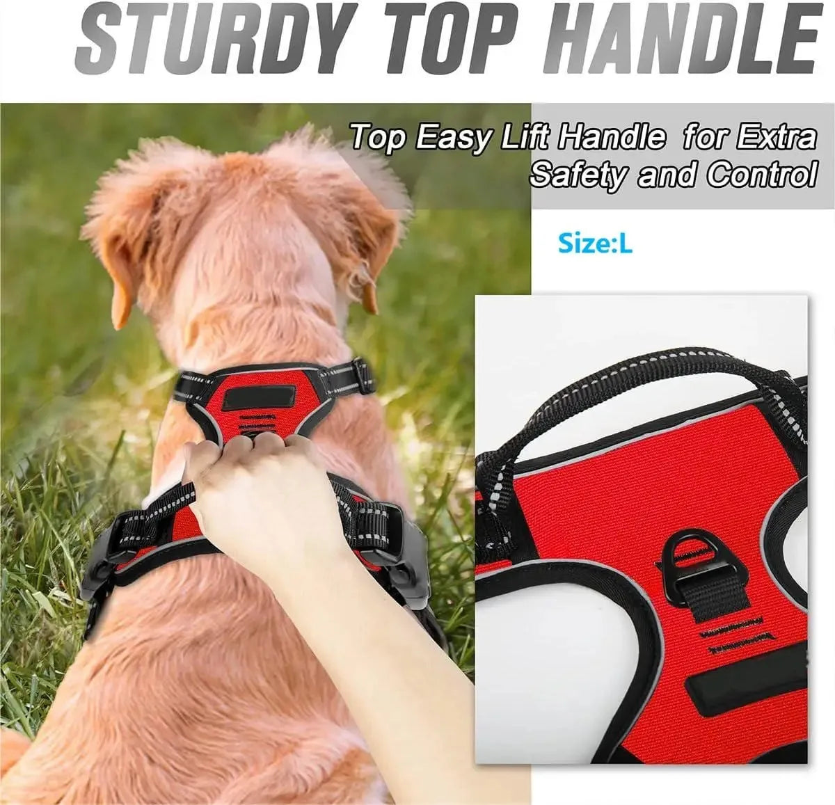 Premium Leather Dog Harness & Leash Set | Roam Bark