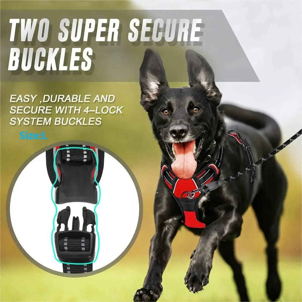 Premium Leather Dog Harness & Leash Set | Roam Bark