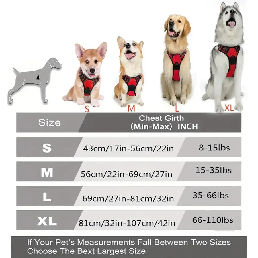 Premium Leather Dog Harness & Leash Set | Roam Bark