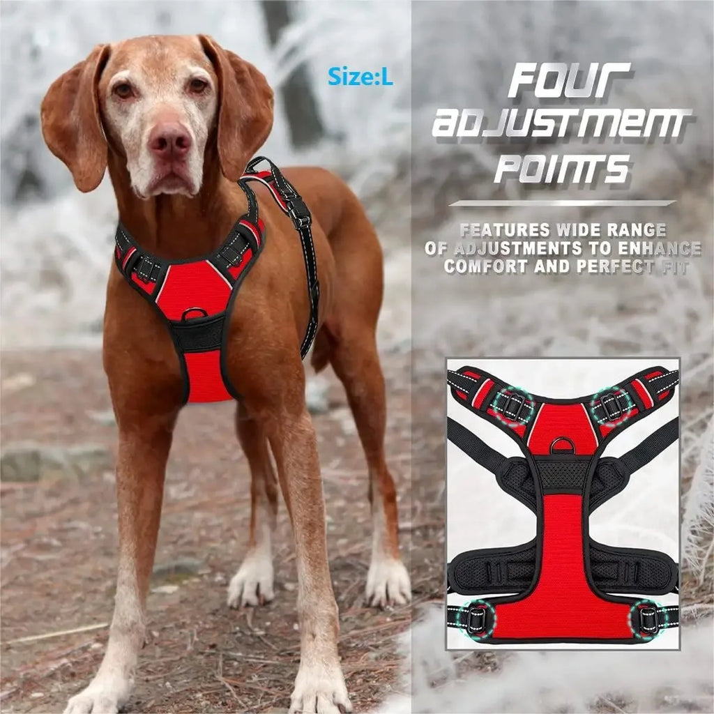 Premium Leather Dog Harness & Leash Set | Roam Bark