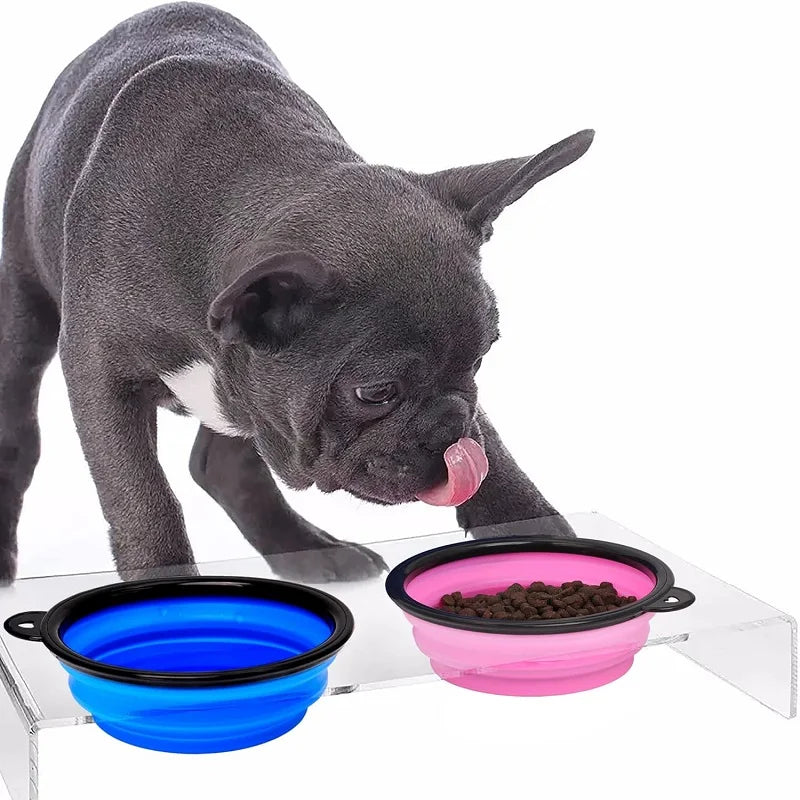 Roam Bark 2-in-1 Collapsible Dog Travel Bowl & Bottle