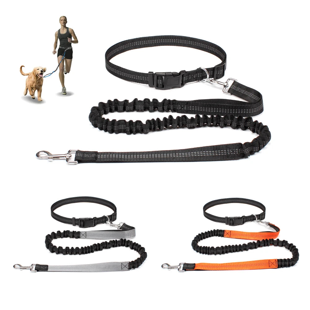 Hands-Free Dog Leash with Adjustable Waist Belt | Roam Bark
