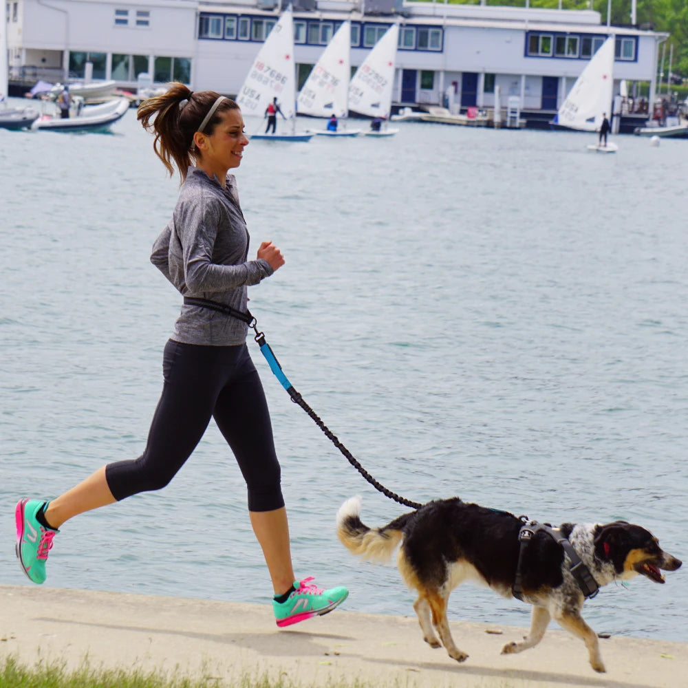 Hands-Free Dog Leash with Adjustable Waist Belt | Roam Bark