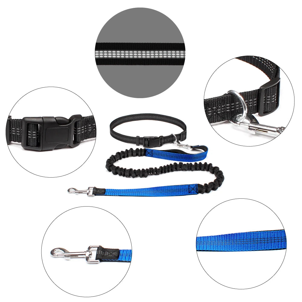 Hands-Free Dog Leash with Adjustable Waist Belt | Roam Bark