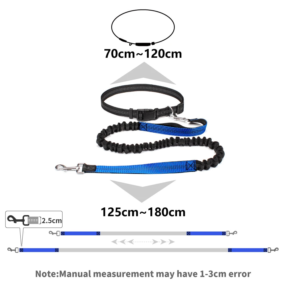 Hands-Free Dog Leash with Adjustable Waist Belt | Roam Bark