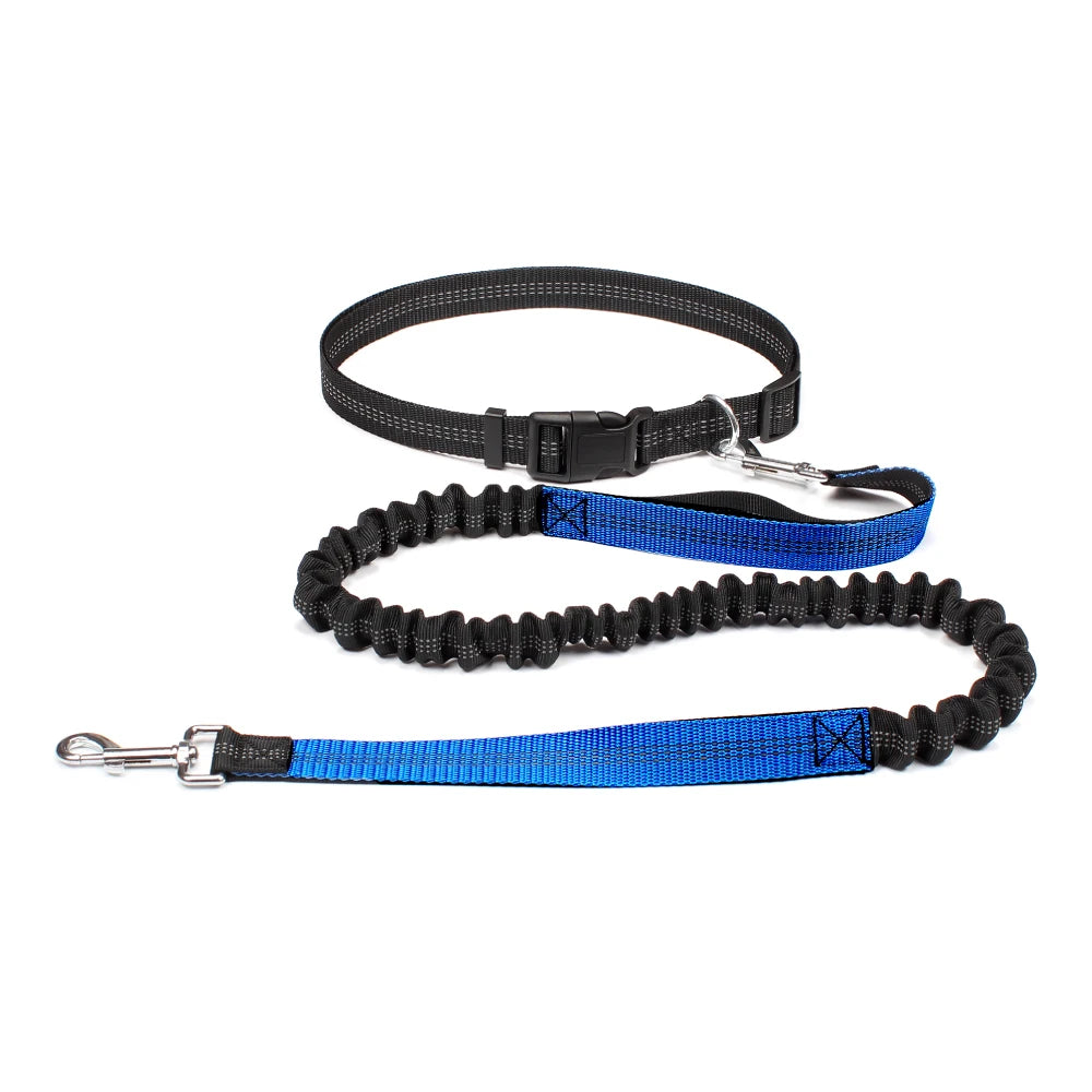 Hands-Free Dog Leash with Adjustable Waist Belt | Roam Bark