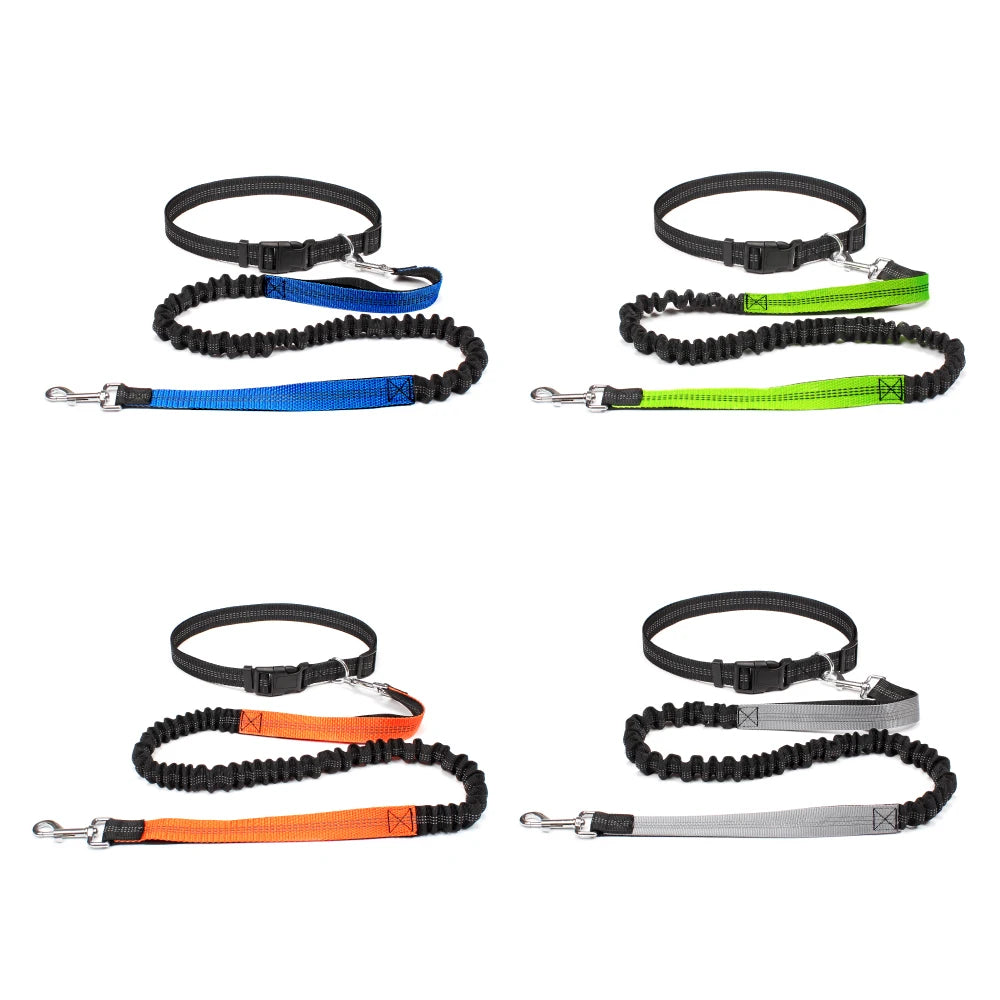 Hands-Free Dog Leash with Adjustable Waist Belt | Roam Bark