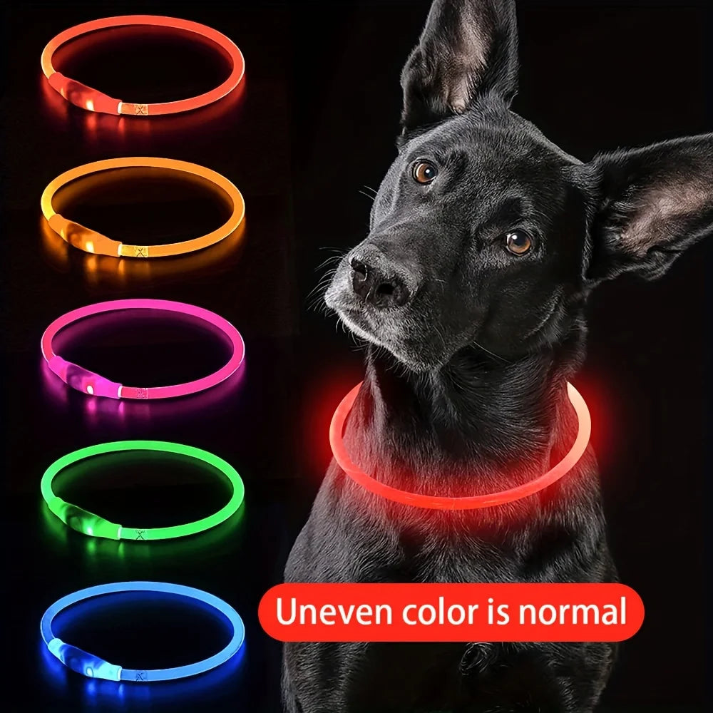 LED Dog Collar — USB Rechargeable Glow Safety Collar | Roam Bark