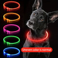 LED Dog Collar — USB Rechargeable Glow Safety Collar | Roam Bark