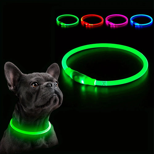 LED Dog Collar — USB Rechargeable Glow Safety Collar | Roam Bark