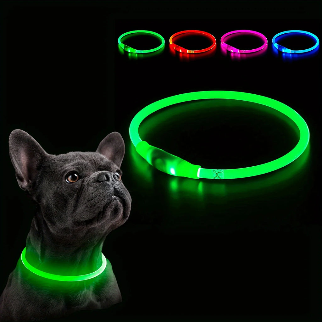LED Dog Collar — USB Rechargeable Glow Safety Collar | Roam Bark
