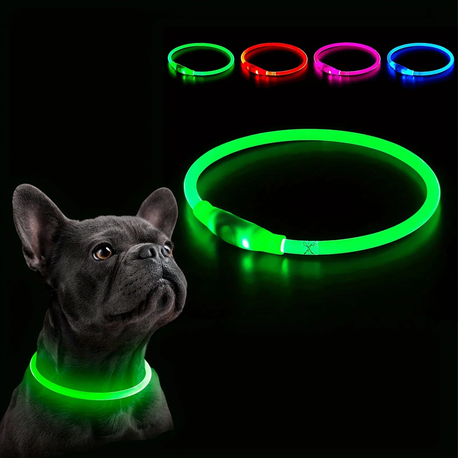 LED Dog Collar — USB Rechargeable Glow Safety Collar | Roam Bark
