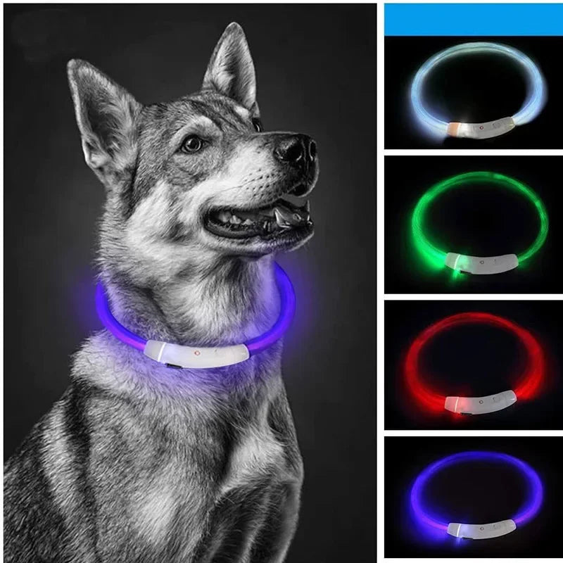 Premium LED Pet Collar for Ultimate Safety