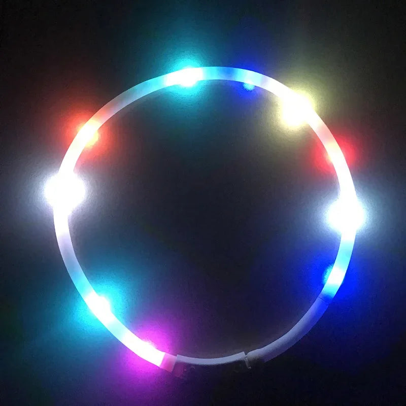 Premium LED Pet Collar for Ultimate Safety