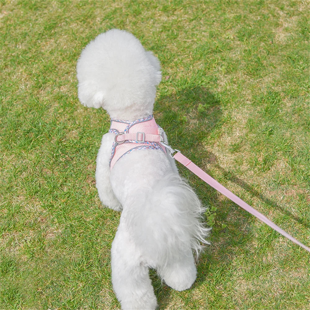 Reflective Breathable Pet Harness Set