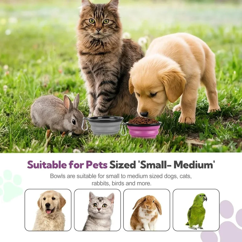Premium Travel Silicone Pet Bowl