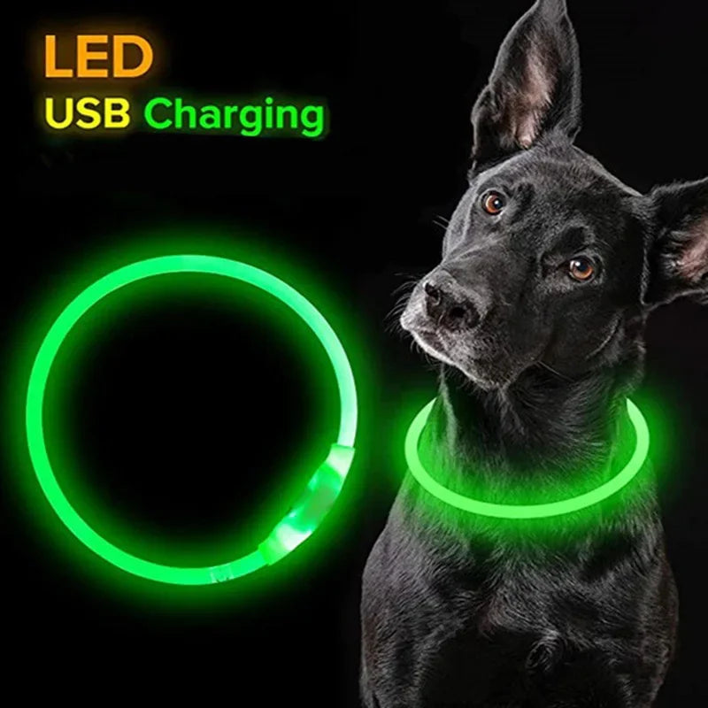 Premium LED Pet Collar for Ultimate Safety