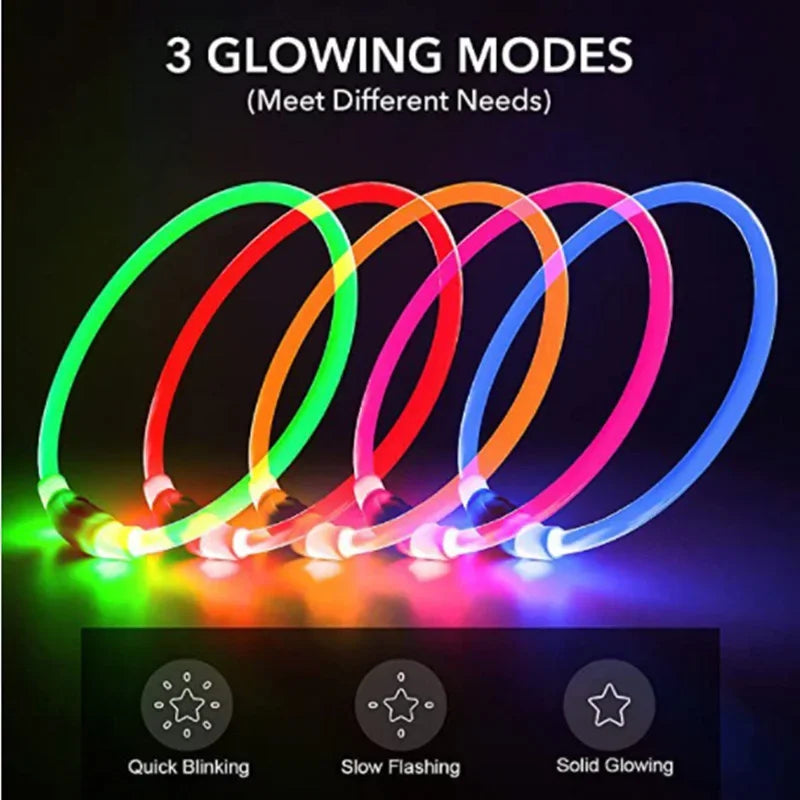 Premium LED Pet Collar for Ultimate Safety