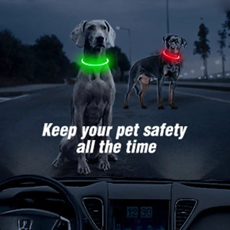 Premium LED Pet Collar for Ultimate Safety