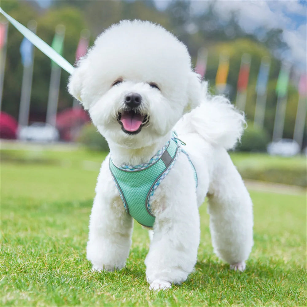 Reflective Breathable Pet Harness Set