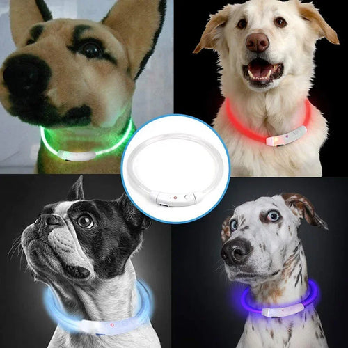 Premium LED Pet Collar for Ultimate Safety