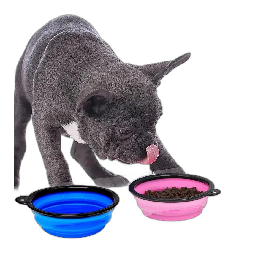 Roam Bark 2-in-1 Collapsible Dog Travel Bowl & Bottle