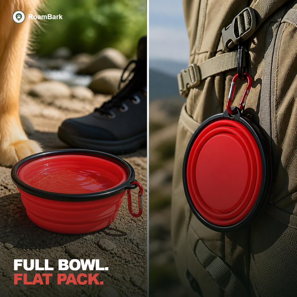Two panels: the bowl open and full of water, then folded flat and clipped to a backpack strap.