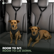 Two panels showing the same dog sitting and then lying down on the back seat, still clipped to the tether.