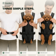 Three steps: fasten the waist strap, lift the dog in, then guide its legs through and adjust the fit.
