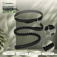 Black waist belt and bungee leash laid out flat, with the traffic handle and metal snap hook shown close up.