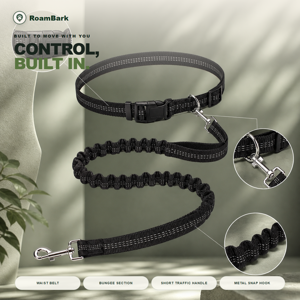 Black waist belt and bungee leash laid out flat, with the traffic handle and metal snap hook shown close up.