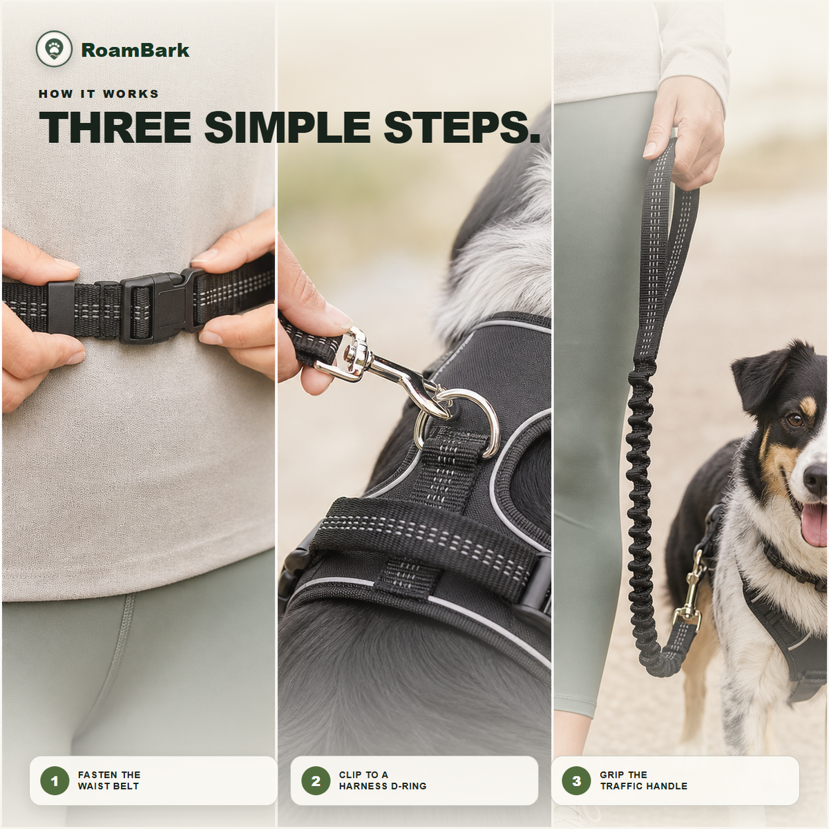 Three steps: fasten the waist belt, clip the hook to the harness D-ring, then grip the traffic handle.