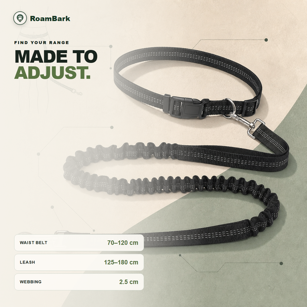 Measurement card: waist belt 70 to 120 cm, leash 125 to 180 cm, webbing 2.5 cm wide.