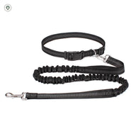 Hands-Free Running Dog Leash in Black.