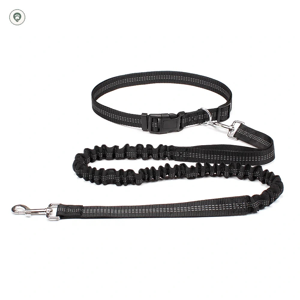 Hands-Free Running Dog Leash in Black.