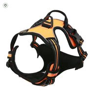 Trail-Ready No-Pull Dog Harness — showing the orange harness in a clean product view.