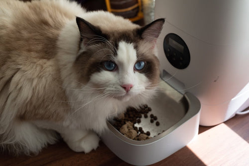 Automatic Pet Water Fountain 2.5L - USB-Powered Quiet Pump with LED Low-Water Indicator