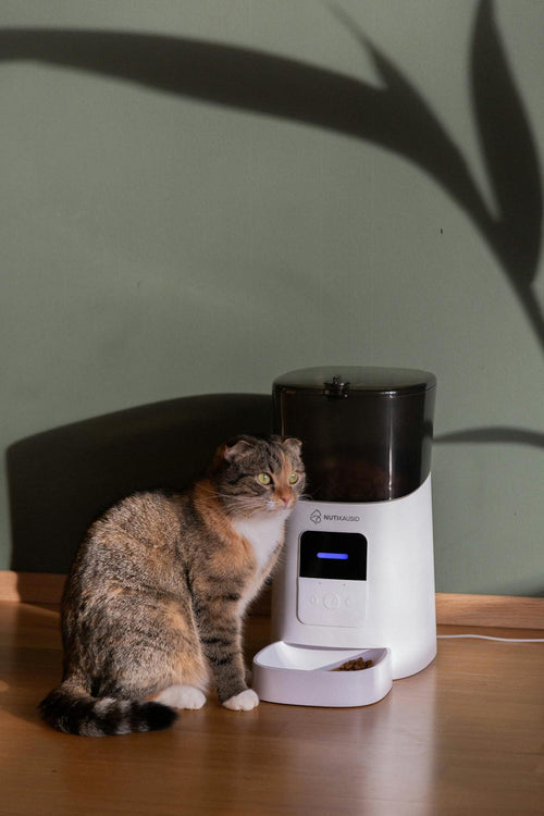 Automatic Pet Water Fountain 2.5L - Triple Filter Flowing Water Bowl for Dogs and Cats