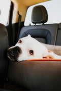 Pet Car Seat Cover - Waterproof Back Seat Protector with Anchor Straps in Black