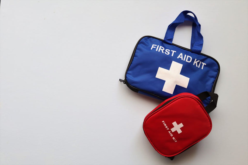 Pet First Aid Kit - Contents Laid Out Including Bandages, Antiseptic, and Emergency Tools