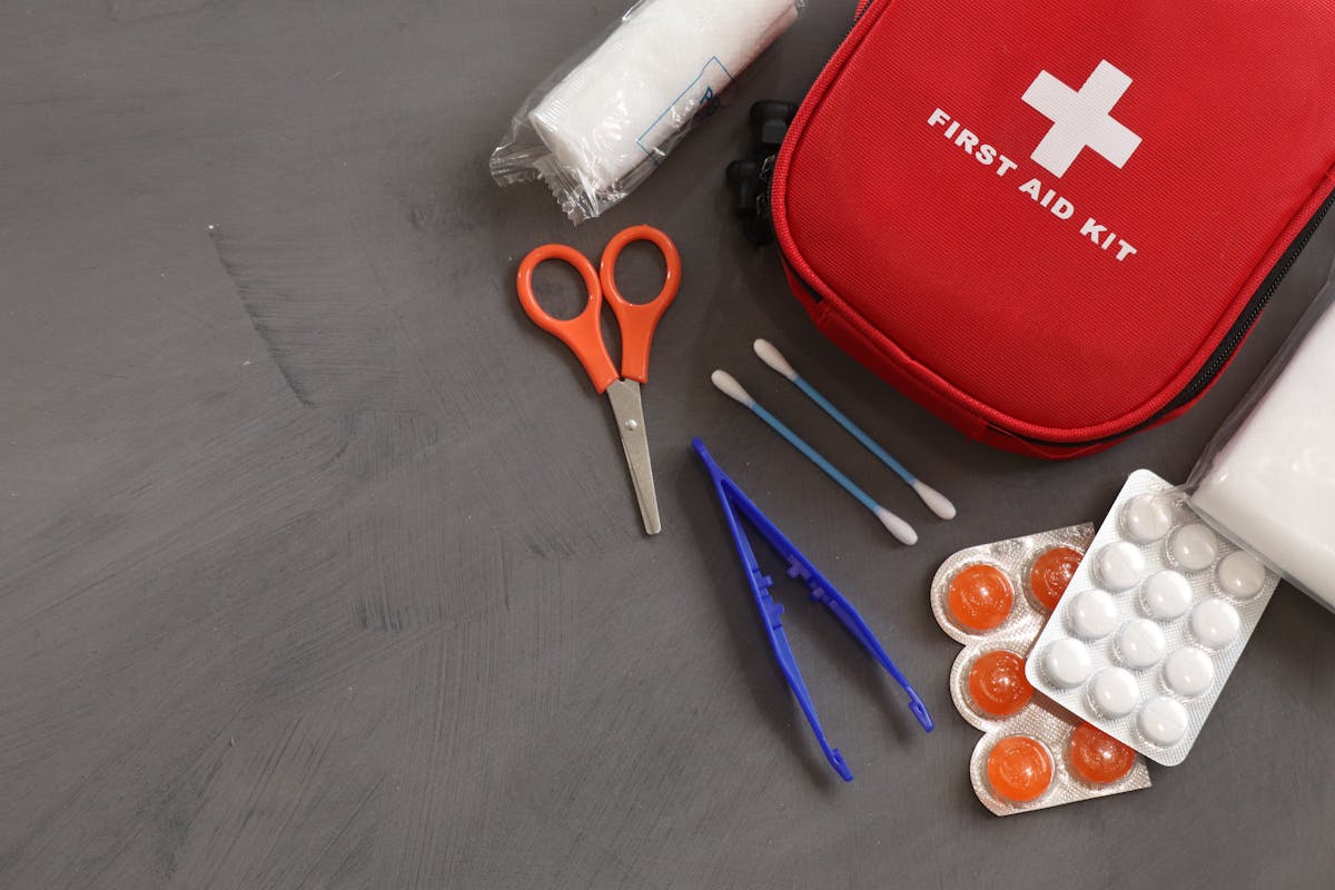 Pet First Aid Kit - 40-Piece Emergency Travel Kit with Compact Red Case for Dogs