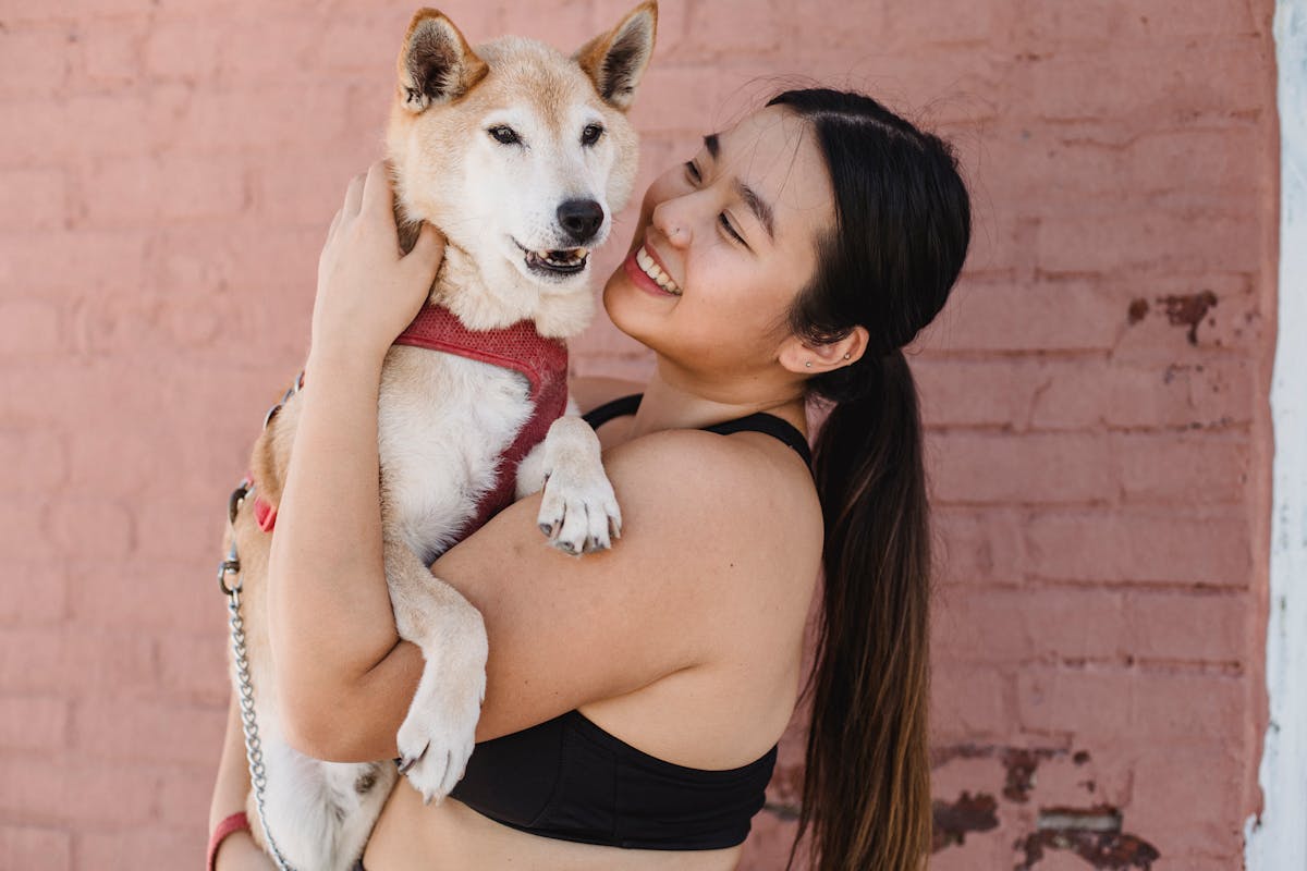 No-Pull Dog Harness with Front & Back Clip