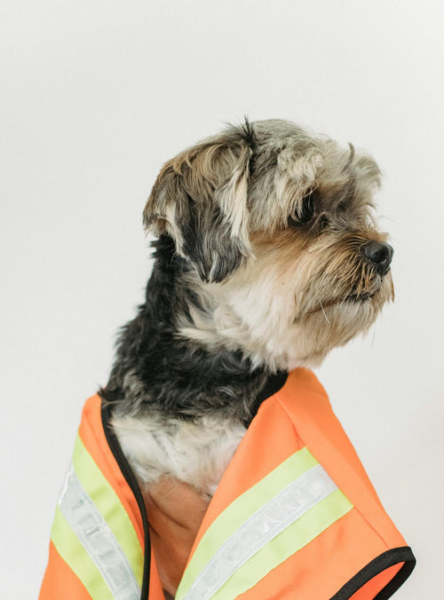 Dog Anxiety Vest - Calming Thunder Jacket with Snug Wrap Design in Grey