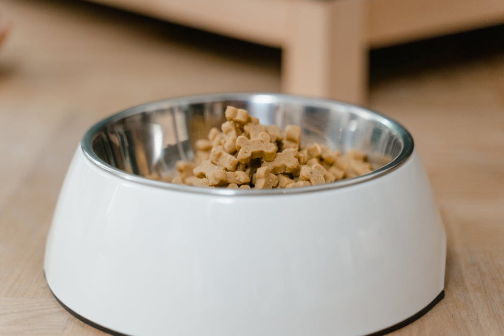 Elevated Dog Bowl Stand - Natural Bamboo Frame with Dog Eating from Raised Stainless Bowl