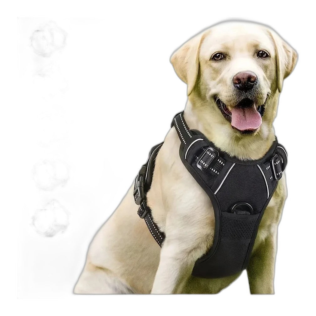 Premium Leather Dog Harness & Leash Set
