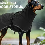 All-Weather Dog Coat — showing the black coat worn in wet weather.